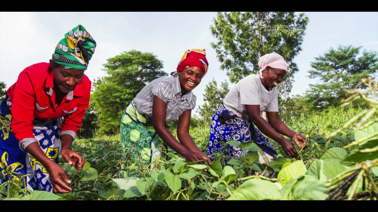 AfCFTA Boosts African Agricultural Trade