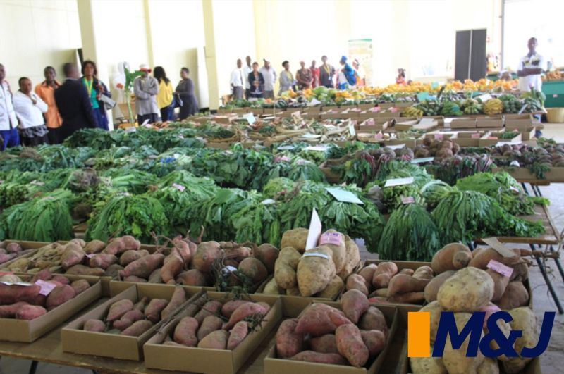 High-Return Agricultural Investments in Africa